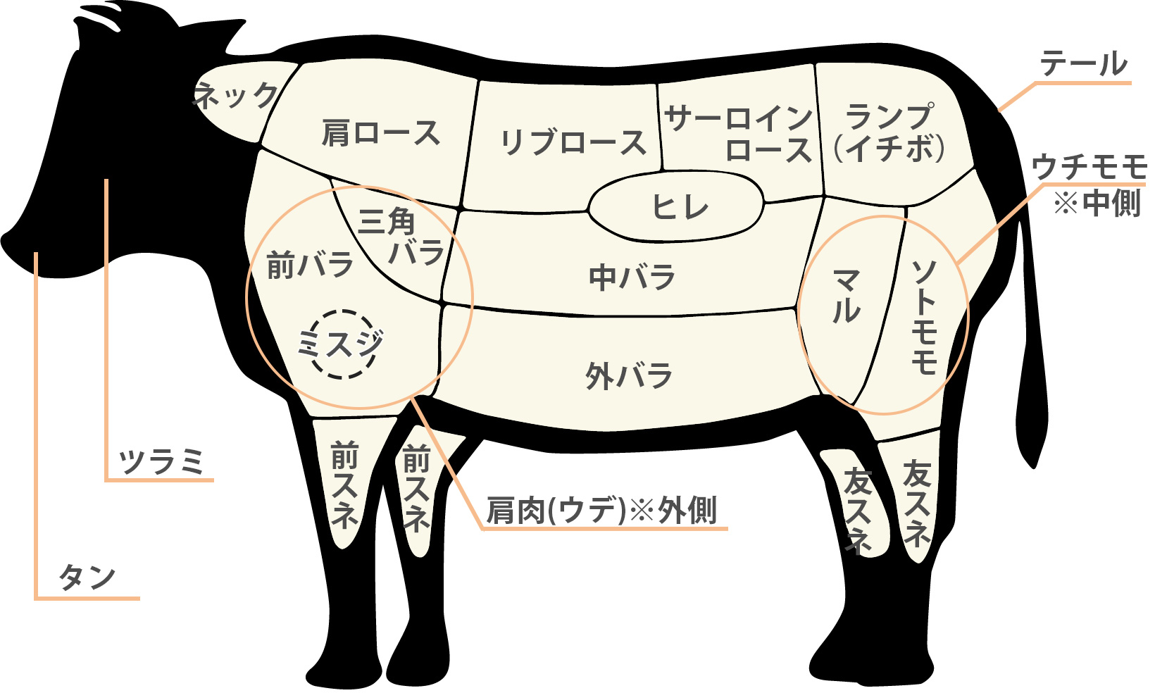 牛肉部位の詳細