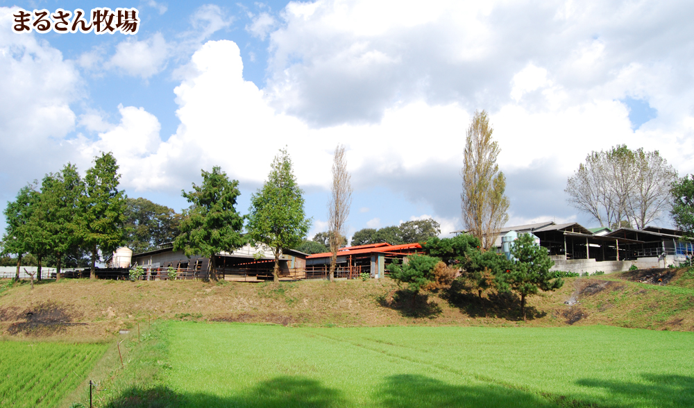 まるさん牧場