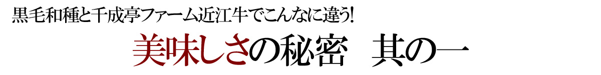 千成亭 近江牛の美味しさの秘密 其の一