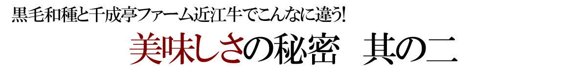 千成亭 近江牛の美味しさの秘密 其の二