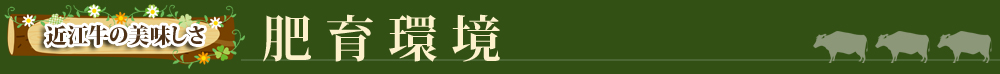肥育環境