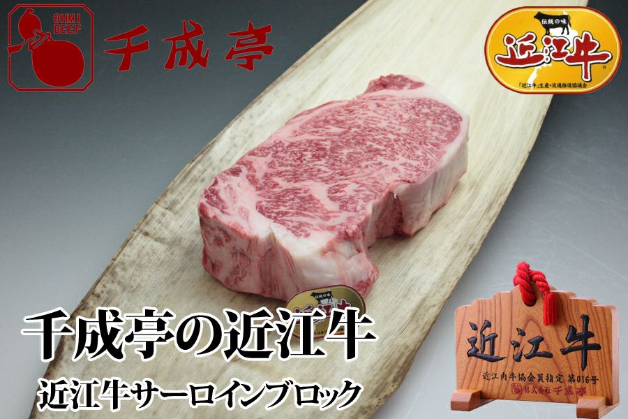 【最終価格】牛久市 つくば市 利根町 我孫子市 御城印 コンプリートセット 御城印『墨城印』□第5弾コンプリートセット